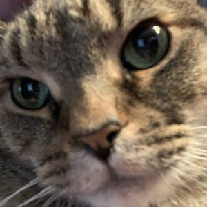 Meet your Posher, Christina